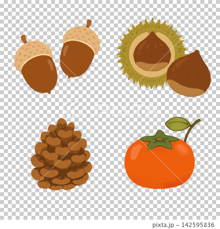 Autumn-themed material set of 4: acorns, chestnuts, pine cones, and persimmons (with transparent background) Autumn-themed material set of 4: acorns, chestnuts, pine cones, and persimmons (with transparent background) 142595836