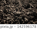 Soil texture background of dark fertile brown dirt ground for agriculture and farming 142596178