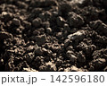 Soil texture background of dark fertile brown dirt ground for agriculture and farming 142596180
