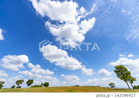 夏の青空と雲と草原 夏の青空と雲と草原 142596917