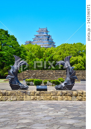 城見台公園　姫路城　 142596971