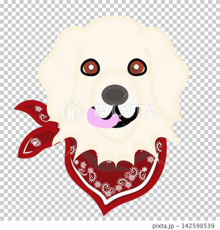 一幅金毛犬戴著頭巾的插圖。 142598539