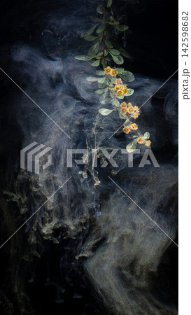 Hanging sprig of small yellow flowers with eucalyptus leaves drifting through swirling smoke on black background Hanging sprig of small yellow flowers with eucalyptus leaves drifting through swirling smoke on black background 142598682