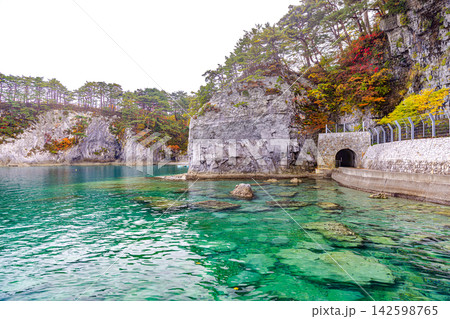 岩手県 浄土ヶ浜海浜の風景 岩手県 浄土ヶ浜海浜の風景 142598765