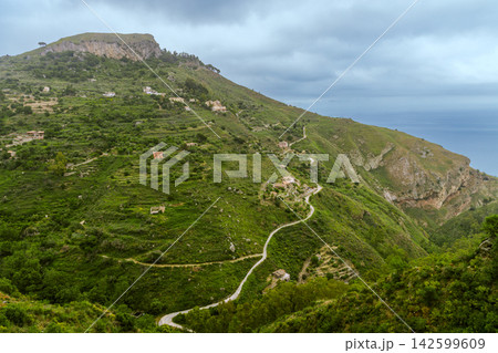 Lush green mountain slopes with scattered houses and a winding road leading to the sea Lush green mountain slopes with scattered houses and a winding road leading to the sea 142599609