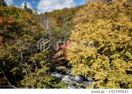 阿寒湖の絶景紅葉滝見橋 阿寒湖の絶景紅葉滝見橋 142599881