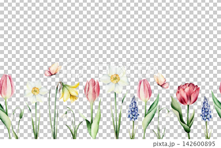 Watercolor spring flowers seamless border. Botanical background with tulip, daffodil, butterfly and blank copy space isolated on white. Endless spring meadow texture for Easter greeting card, wallpape Watercolor spring flowers seamless border. Botanical background with tulip, daffodil, butterfly and blank copy space isolated on white. Endless spring meadow texture for Easter greeting card, wallpape 142600895