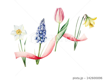 Watercolor spring flowers bouquet with pink ribbon. Hand drawn botanical illustration isolated on white background for Mothers Day greeting card. Elegant tulip and daffodil arrangement. Festive spring Watercolor spring flowers bouquet with pink ribbon. Hand drawn botanical illustration isolated on white background for Mothers Day greeting card. Elegant tulip and daffodil arrangement. Festive spring 142600896