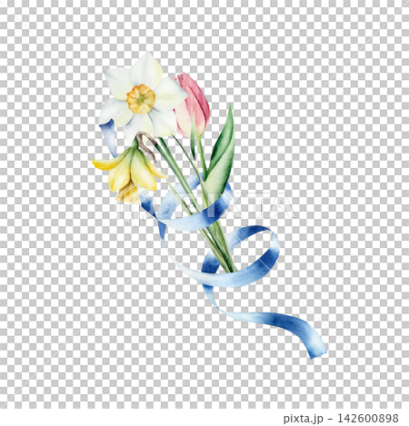 Watercolor spring flowers bouquet with blue ribbon. Hand drawn botanical illustration isolated on white background for Mothers Day greeting card. Elegant tulip and daffodils arrangement. Festive sprin Watercolor spring flowers bouquet with blue ribbon. Hand drawn botanical illustration isolated on white background for Mothers Day greeting card. Elegant tulip and daffodils arrangement. Festive sprin 142600898