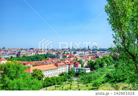 Summer landscape of Prague through green trees in Czech Republic, scenery view from Petrin hill Summer landscape of Prague through green trees in Czech Republic, scenery view from Petrin hill 142601028