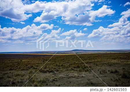 Kenya Photographers By Antony Trivet Photography 142601503