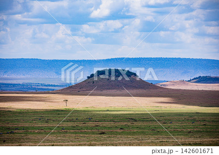 Kenya Photographers By Antony Trivet Photography 142601671