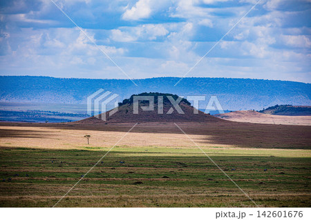 Kenya Photographers By Antony Trivet Photography 142601676