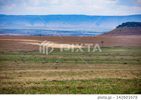 Kenya Photographers By Antony Trivet Photography Kenya Photographers By Antony Trivet Photography 142601678