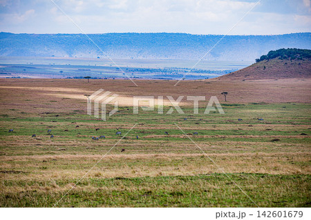 Kenya Photographers By Antony Trivet Photography 142601679
