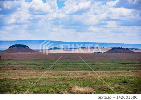 Kenya Photographers By Antony Trivet Photography 142601680