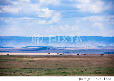 Kenya Photographers By Antony Trivet Photography Kenya Photographers By Antony Trivet Photography 142601688