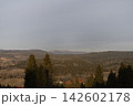 Forest landscape with hills and houses under overcast sky 142602178