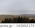 Forest landscape with rolling hills and lake under overcast sky 142602179