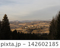 Mountain village in autumn landscape with pine trees and hills 142602185