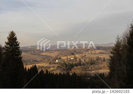 Mountain village in autumn landscape with pine trees and hills 142602185