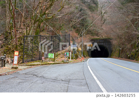 静岡県伊豆市　伊豆山稜線歩道の起点　国道414号の天城峠バス停の登山口 142603255