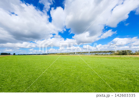Panoramic rural field and meadow with green grass under a sky with clouds. Panoramic rural field and meadow with green grass under a sky with clouds. 142603335