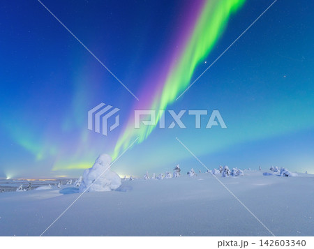 Night landscape of aurora borealis over a winter forest. Night landscape of aurora borealis over a winter forest. 142603340