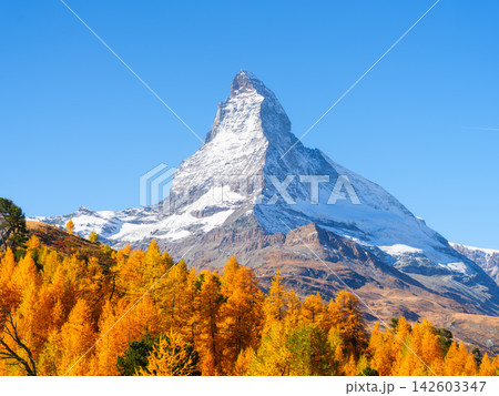Matterhorn mountain peak rising above a colorful autumn forest in Zermatt, Switzerland. Matterhorn mountain peak rising above a colorful autumn forest in Zermatt, Switzerland. 142603347