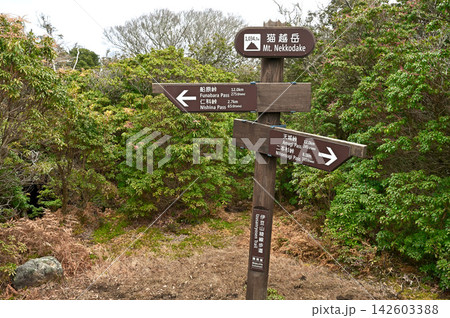 伊豆半島の伊豆山稜線歩道 猫越岳山頂 伊豆半島の伊豆山稜線歩道 猫越岳山頂 142603388
