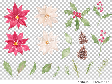 水彩畫冬季植物圖案 水彩畫冬季植物圖案 142603647