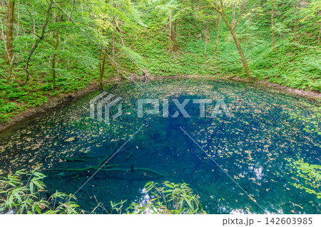 世界自然遺産 白神山地 十二湖の青池 神秘的な青い水面と緑豊かな森の自然風景 世界自然遺産 白神山地 十二湖の青池 神秘的な青い水面と緑豊かな森の自然風景 142603985