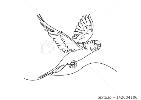 Continuous one line drawing pet parakeet parrot flying freely with open wings, capturing graceful avian flight, wildlife nature, and bird freedom. Single line draw design vector graphic illustration Continuous one line drawing pet parakeet parrot flying freely with open wings, capturing graceful avian flight, wildlife nature, and bird freedom. Single line draw design vector graphic illustration 142604106