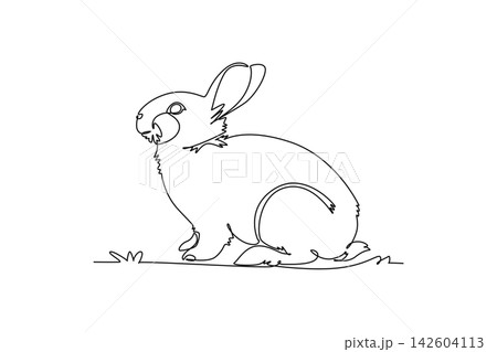 Single continuous line drawing adorable pet rabbit crouching softly on the ground, highlighting cute ears, domestic mammal, wildlife nature, pet care. One line draw graphic design vector illustration Single continuous line drawing adorable pet rabbit crouching softly on the ground, highlighting cute ears, domestic mammal, wildlife nature, pet care. One line draw graphic design vector illustration 142604113