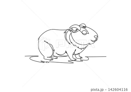 Single continuous line drawing cute pet guinea pig resting calmly on the floor, highlighting domestic rodent pet care, fluffy fur, sweet nature fauna. One line draw graphic design vector illustration Single continuous line drawing cute pet guinea pig resting calmly on the floor, highlighting domestic rodent pet care, fluffy fur, sweet nature fauna. One line draw graphic design vector illustration 142604116