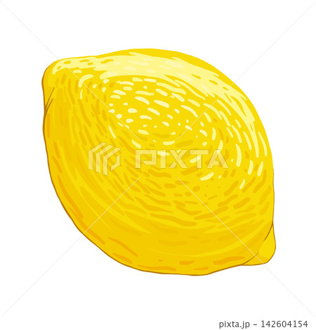 Lemon whole fruit single object. Organic fruit for juice, cocktails, lemonade, vitamin C healthy food. Vector illustration isolated on white background.  142604154
