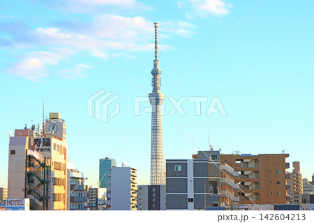東京都墨田区、東京スカイツリーと町並みの風景 142604213