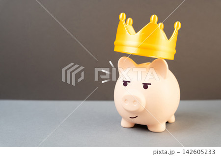 Piggy bank and a golden crown. VIP conditions for investment and savings. Premium banking services, wealth management, exclusive financial benefits, high-value clients Piggy bank and a golden crown. VIP conditions for investment and savings. Premium banking services, wealth management, exclusive financial benefits, high-value clients 142605233