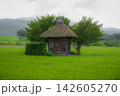 夏の緑に包まれた小さな神社 142605270