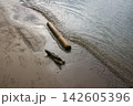 砂浜に打ち寄せる波と流木と足跡 砂浜に打ち寄せる波と流木と足跡 142605396