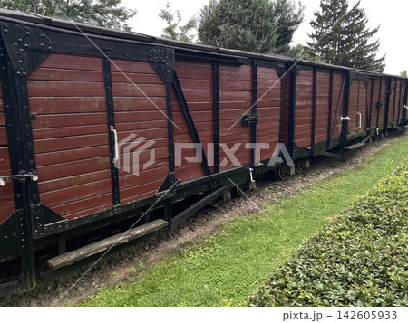 Red wooden freight train carriage with dark riveted steel frame, standing beside green grass along railway tracks, vintage rail transport display outdoors near trees Red wooden freight train carriage with dark riveted steel frame, standing beside green grass along railway tracks, vintage rail transport display outdoors near trees 142605933