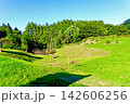 【青森】秋の三内丸山遺跡　青空と北の谷 (低湿地) 142606256