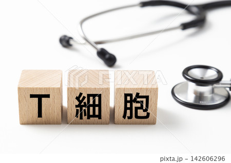 「T細胞」と書かれたブロックと聴診器 「T細胞」と書かれたブロックと聴診器 142606296