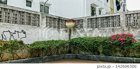 Concrete wall corner with a traffic convex mirror and pink bougainvillea flowers 142606300