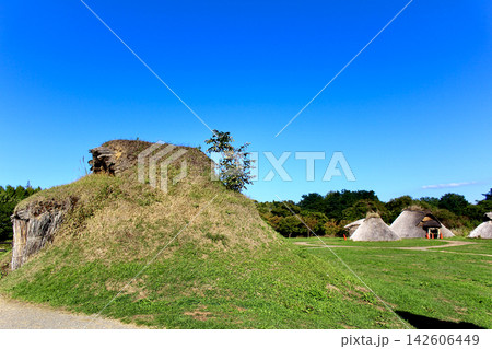 【青森】秋の三内丸山遺跡 土葺きと茅葺きの竪穴建物 【青森】秋の三内丸山遺跡 土葺きと茅葺きの竪穴建物 142606449