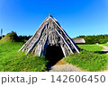 【青森】秋の三内丸山遺跡　樹皮葺きの竪穴建物 142606450