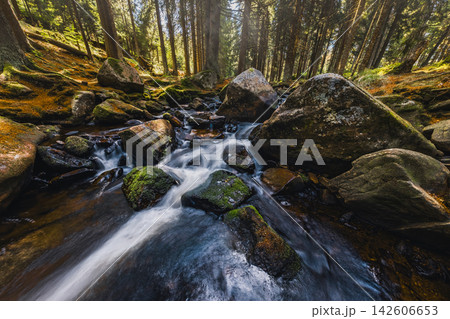 Panoramic view of the forest river flowing through a rocky forest landscape in Sumava National Park, Czech Republic, with moss-covered boulders, clear water and pristine wilderness. Panoramic view of the forest river flowing through a rocky forest landscape in Sumava National Park, Czech Republic, with moss-covered boulders, clear water and pristine wilderness. 142606653