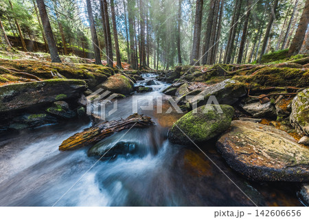 Panoramic view of the forest river flowing through a rocky forest landscape in Sumava National Park, Czech Republic, with moss-covered boulders, clear water and pristine wilderness. 142606656