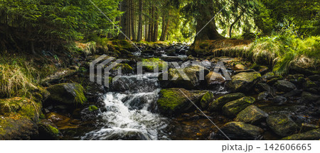 Panoramic view of the forest river flowing through a rocky forest landscape in Sumava National Park, Czech Republic, with moss-covered boulders, clear water and pristine wilderness. 142606665