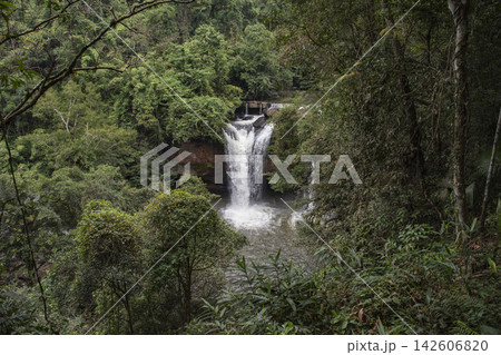 THAILAND NAKHON RATCHASIMA KHAO YAI NATIONALPARK HAEW SUWAT WATERFALL 142606820